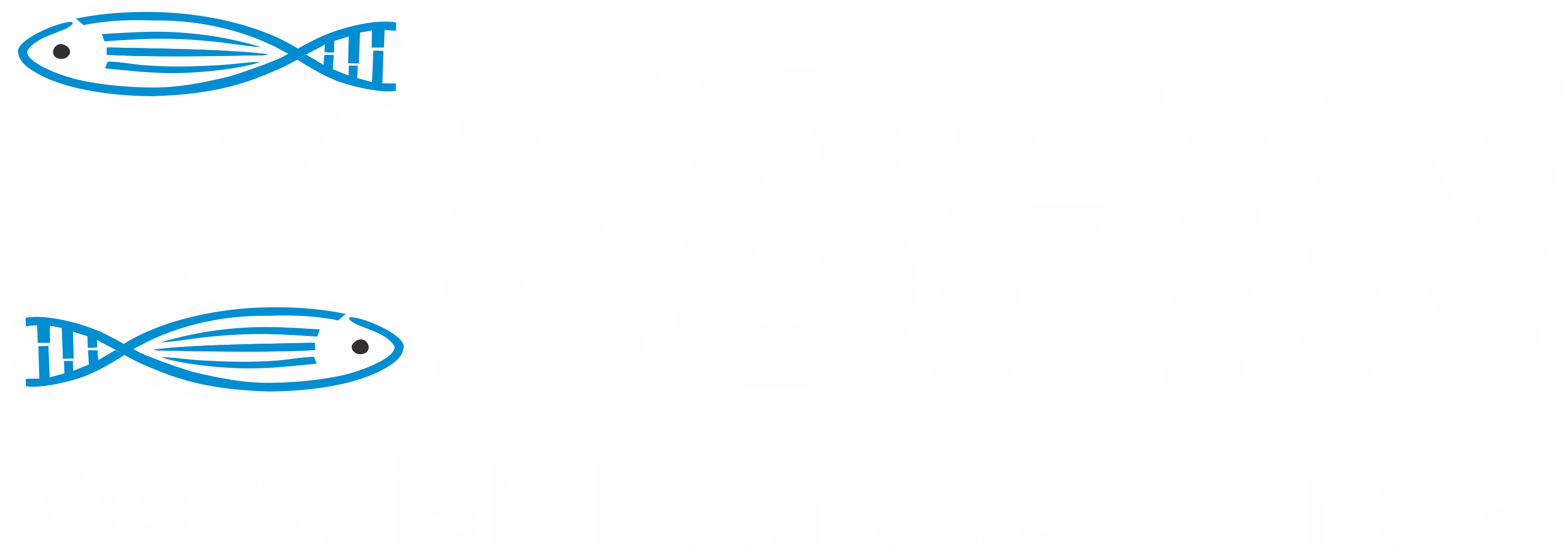 Zebfin Logo